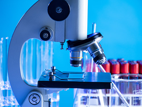 Market Outlook and Report Scope for Industrial Microscopes