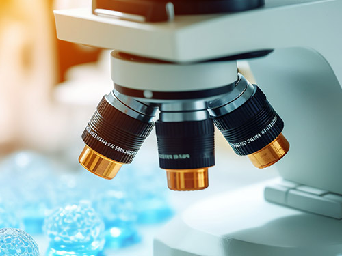 Major companies in the industrial microscope market and sharing insights