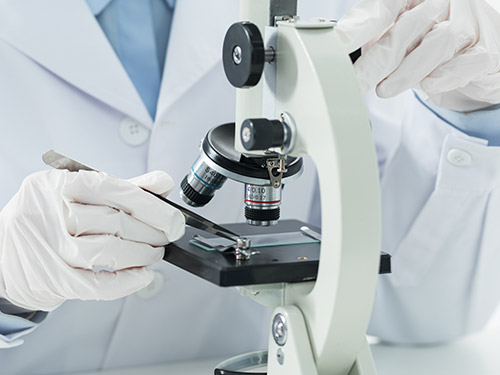 Key driving factors and obstacles in the industrial microscope market