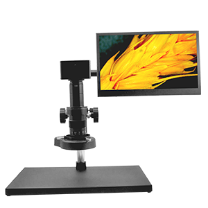 Biological Observation